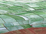 田园风光
