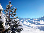 雪地风景