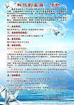 海报