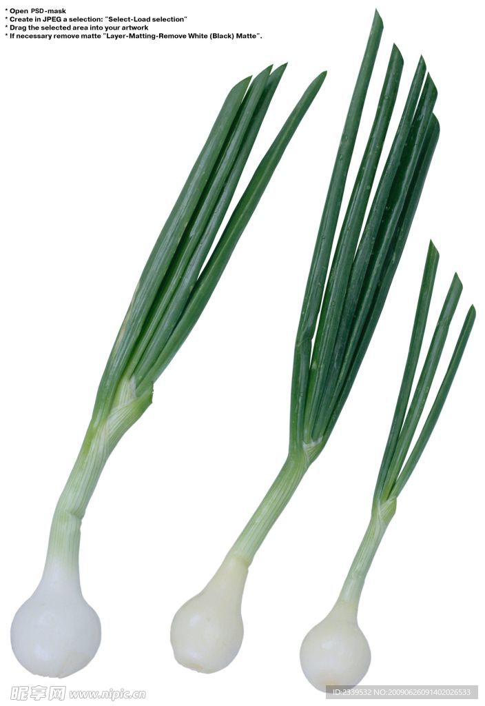 大蒜