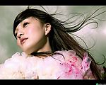 张韶涵