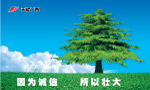 因为诚信所以壮大
