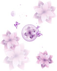 蝶恋花