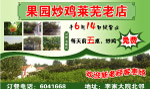 果园炒鸡