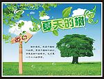 夏天的树