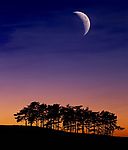 夜景