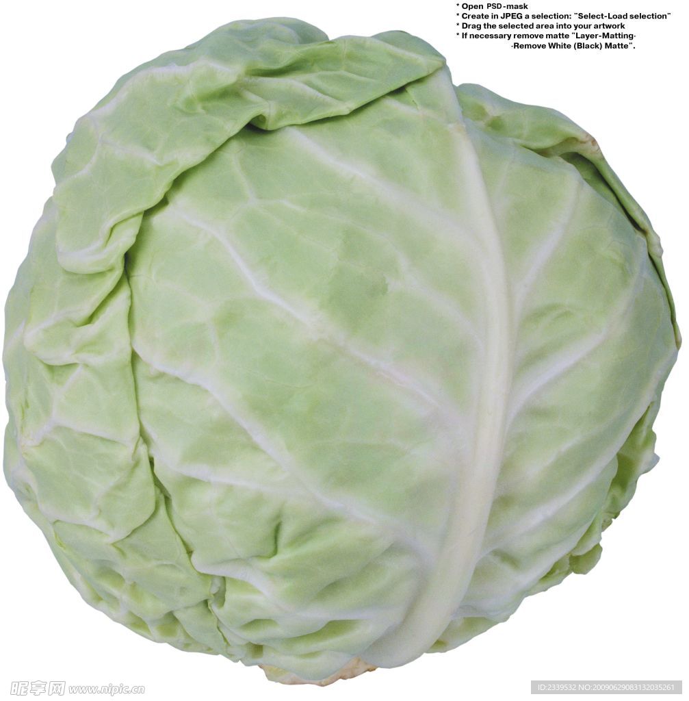 卷心菜