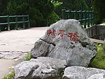 书法