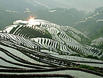 龙脊梯田