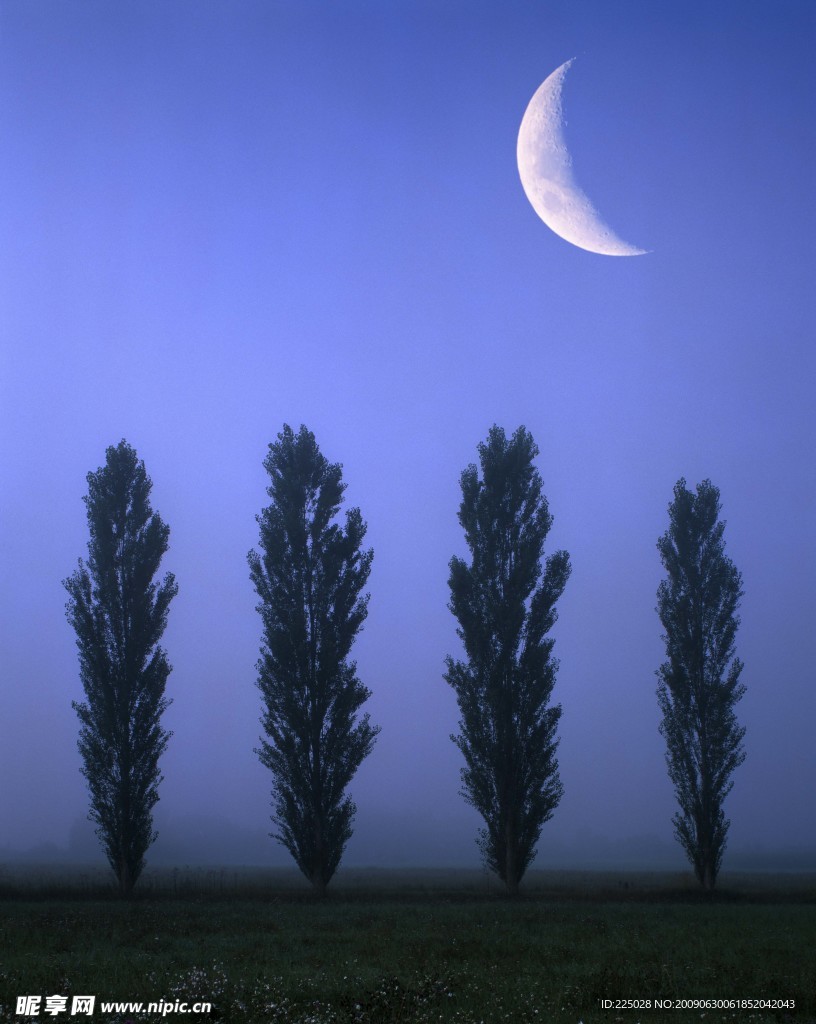 夜景