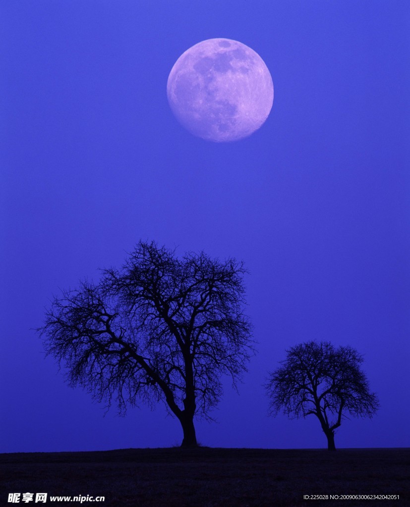 夜景