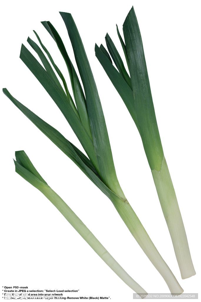 蒜苗