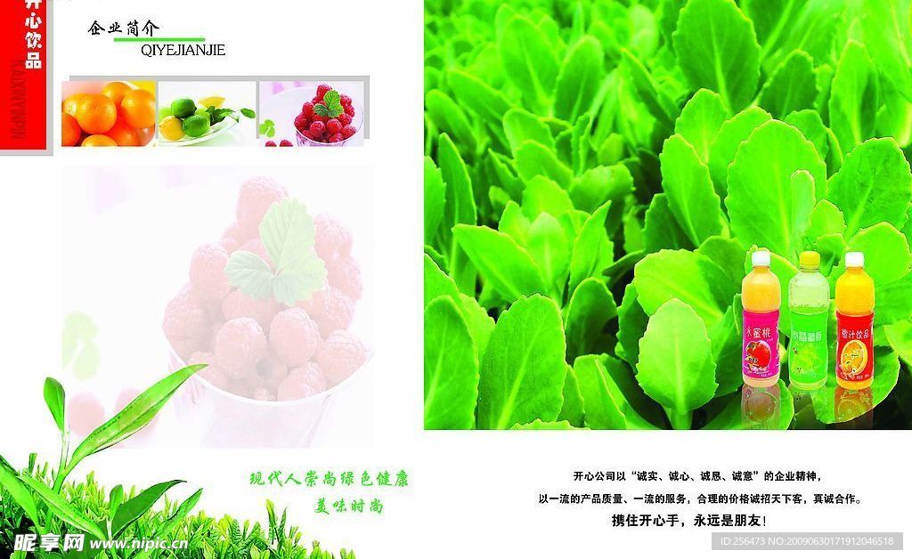 画册简介
