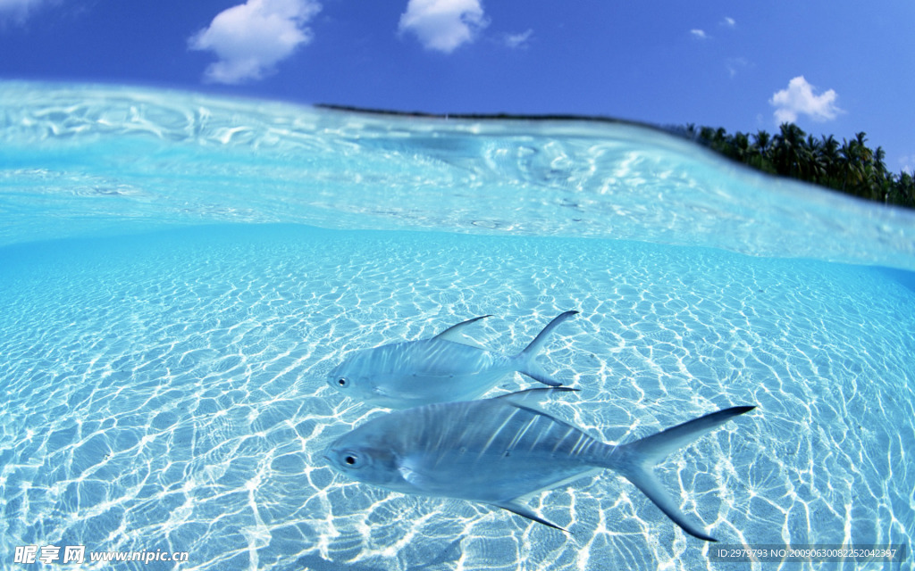 海空水蓝