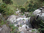 自然风景山石 石溪 野草 绿树