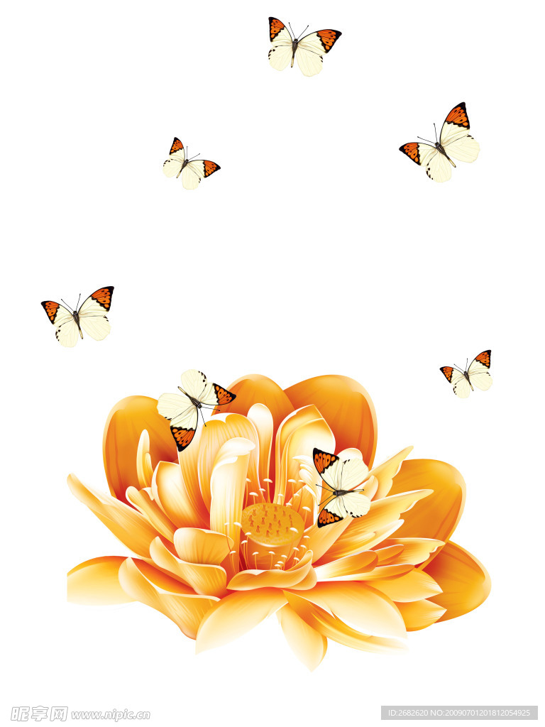 蝶恋花