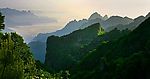绿色王莽岭