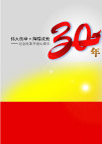 改革开放30年