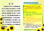 学校宣传单