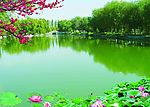 风景背景
