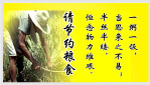 节约粮食