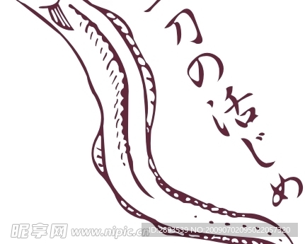 刀鱼