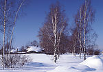 冬季雪景