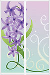 紫花吊藤