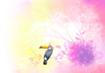 绚彩花纹