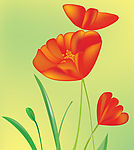 花中秀