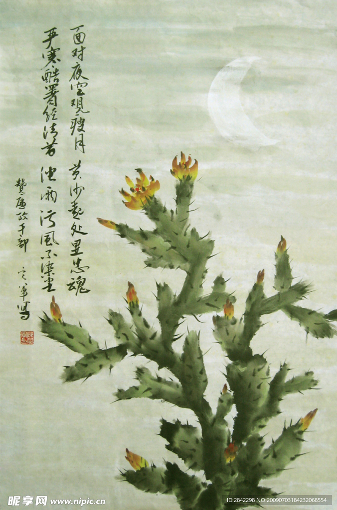 仙人掌