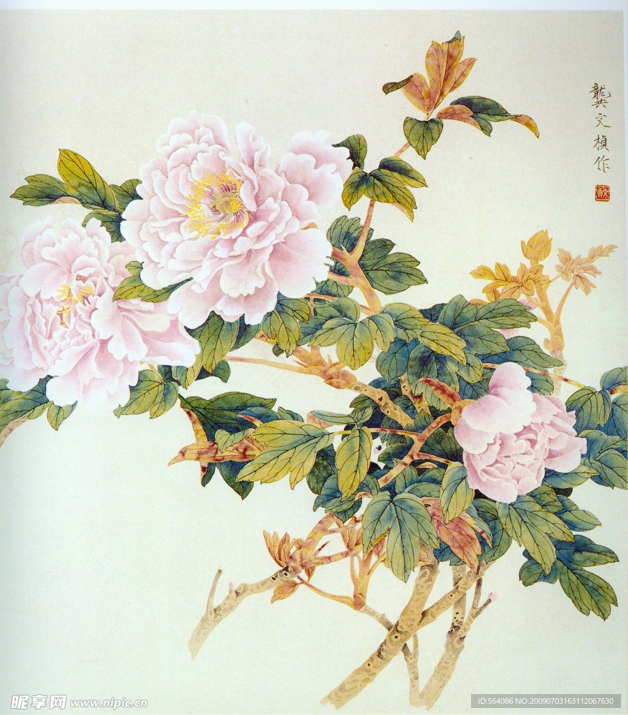 牡丹