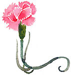 手绘花
