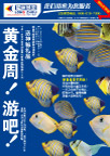 龙洲量贩黄金周海报