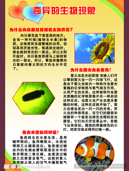 科学知识 奇异的生物现象