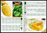 菜谱美食凉菜