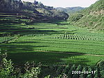 田园风光