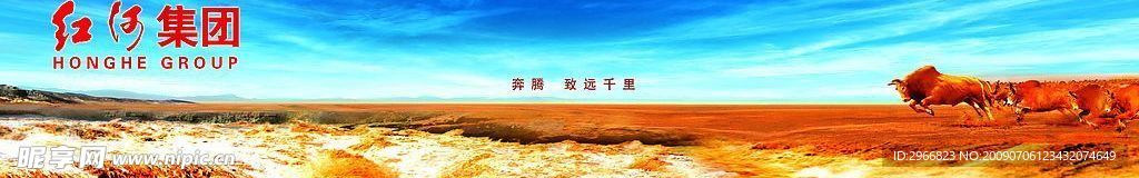 红河牛（分层不精细）