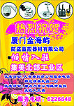 传单