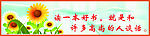 向日葵 读书 清爽