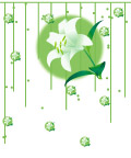 美丽移门图案