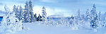 雪景
