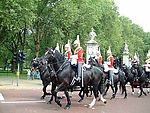 英国 御林军 骑兵 树林