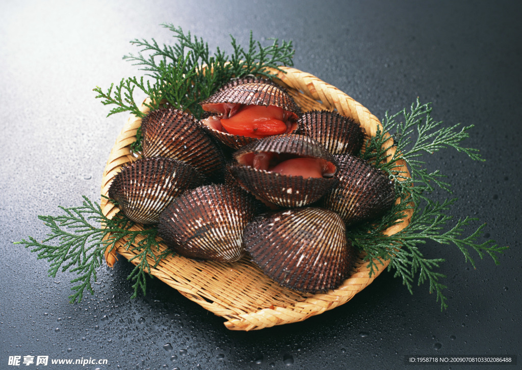 螺子肉背景 海产品美食海鲜