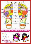 足部穴位图