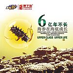 獐子岛广告