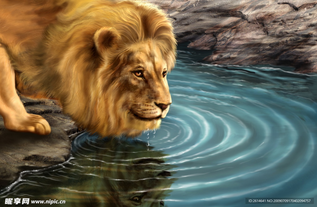 喝水的狮子