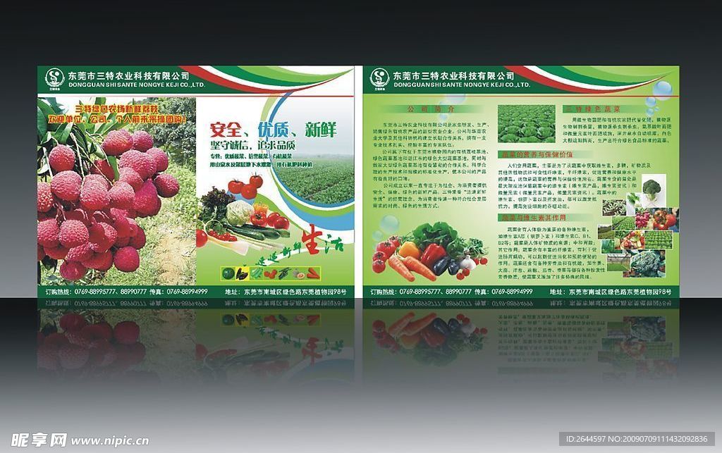 有机蔬菜及农业荔枝宣传单