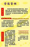 学校图板