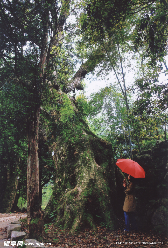 婺源—樟树